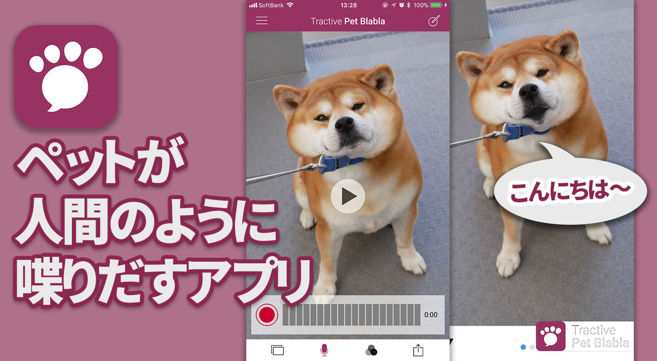50 動物 喋る アプリ 最高の動物画像