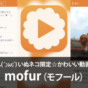 究極の癒し(´;ω;`)いぬネコ限定☆かわいい動画共有アプリ 【mofur】