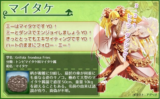 kinokore-02