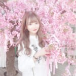 今が見頃♡都内で桜をたのしみたいなら桜神宮へGO！かなり映えると話題だよ♡