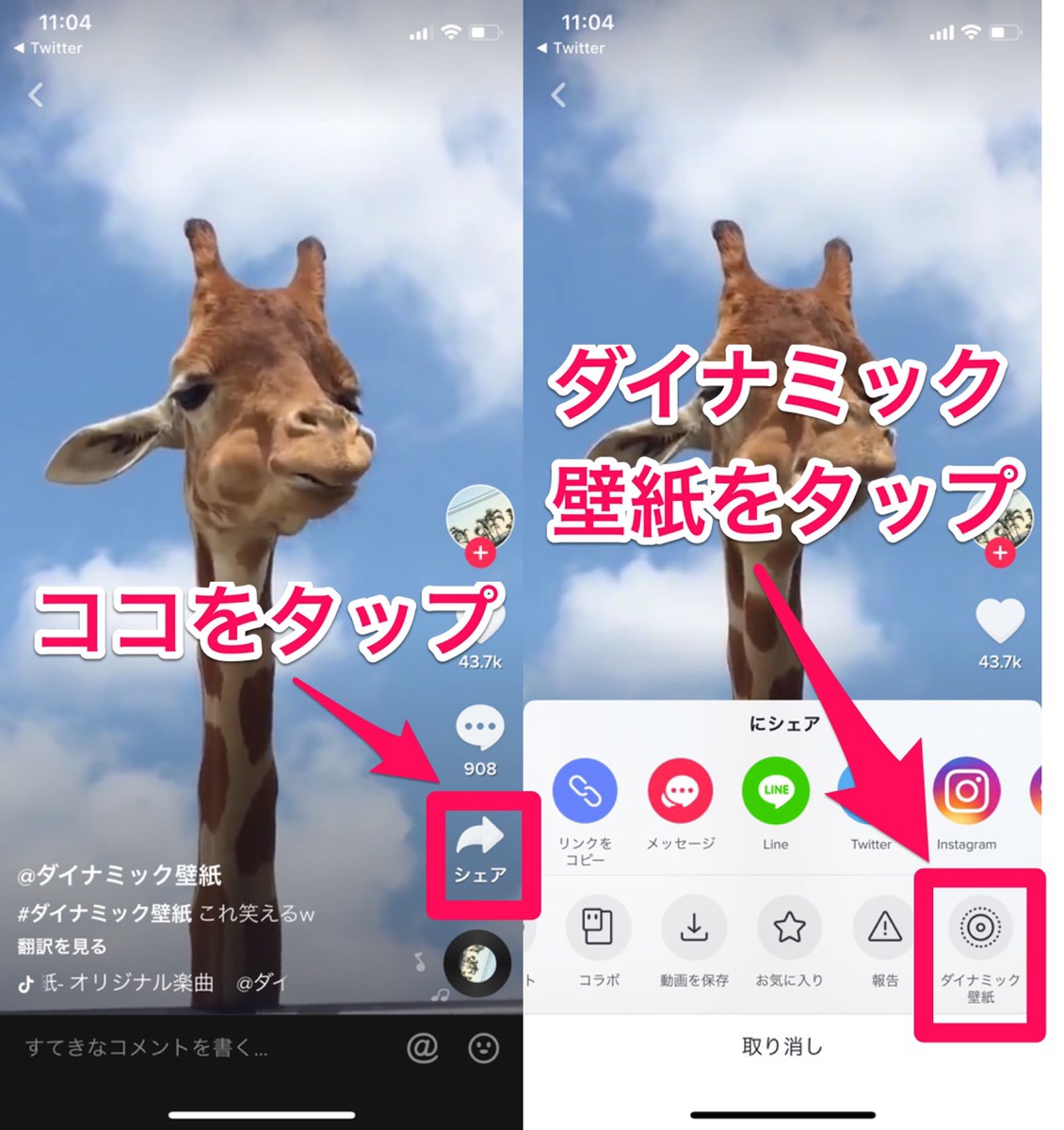 壁紙が動く Tiktokダイナミック壁紙の保存 設定 作成方法まとめ Tiktok Apptopi