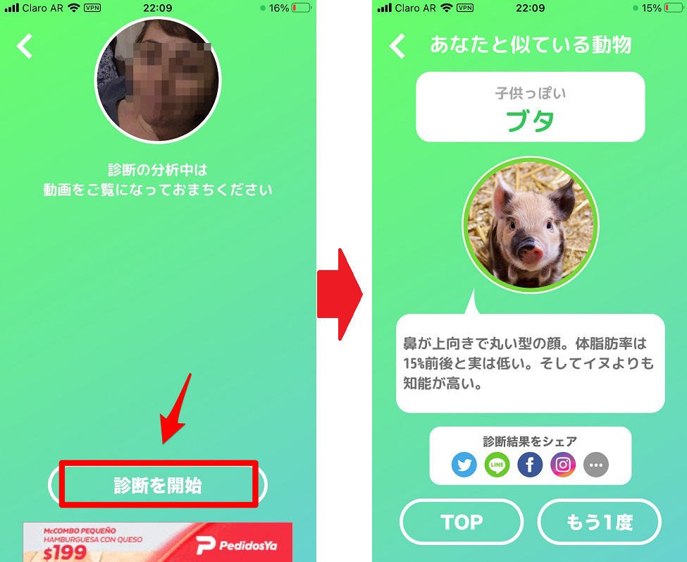 似てる顔の動物を診断するアプリ