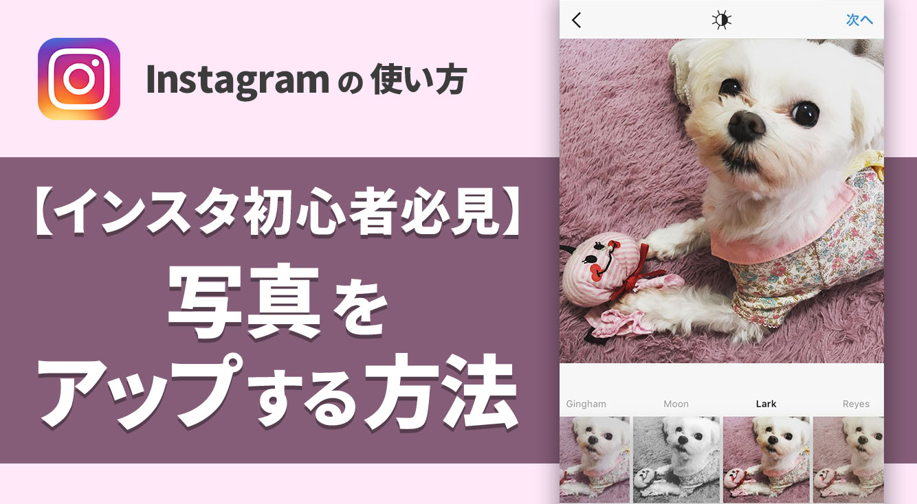 Instagramの写真 動画投稿方法 初心者にも分かりやすく解説 Apptopi