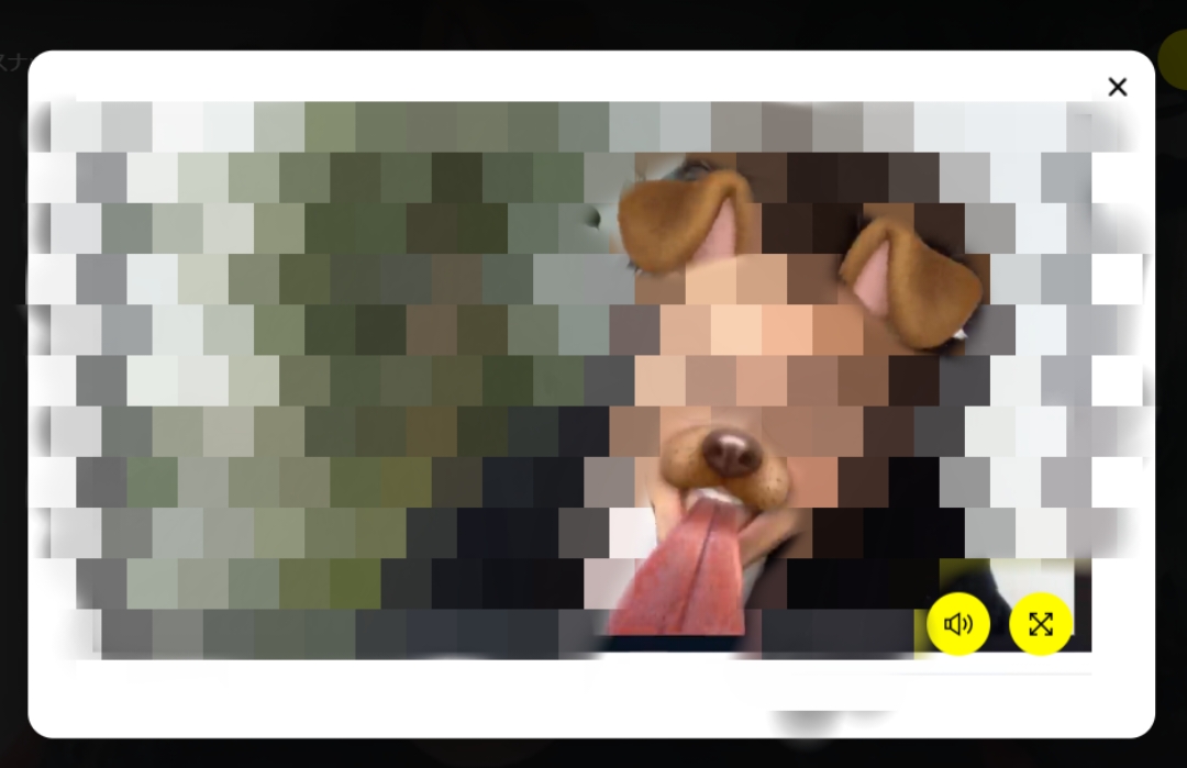 SnapCamera　エフェクト　犬　可愛い　おすすめ　アプリ