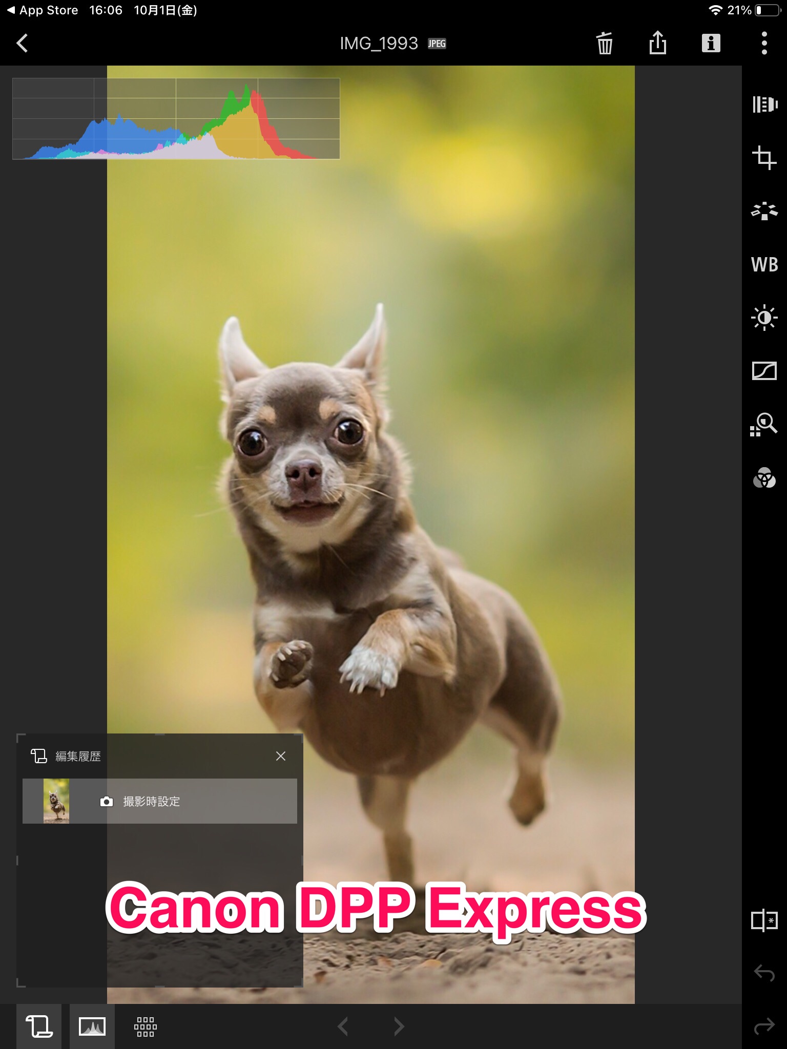 Canon DPP Express