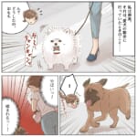 【犬を飼う資格】愛犬の散歩をしていると、恐ろしい犬が襲いかかってきて！？