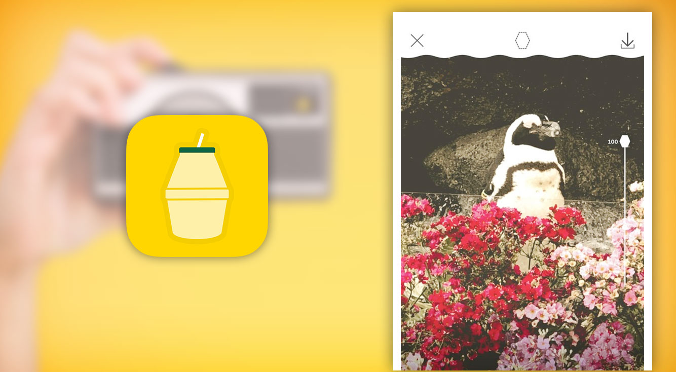韓国好きは必見 バナナウユがカメラアプリになった かわいいフィルター盛りだくさん 韓国発の無料カメラアプリ 단지캠 タンジカム Apptopi
