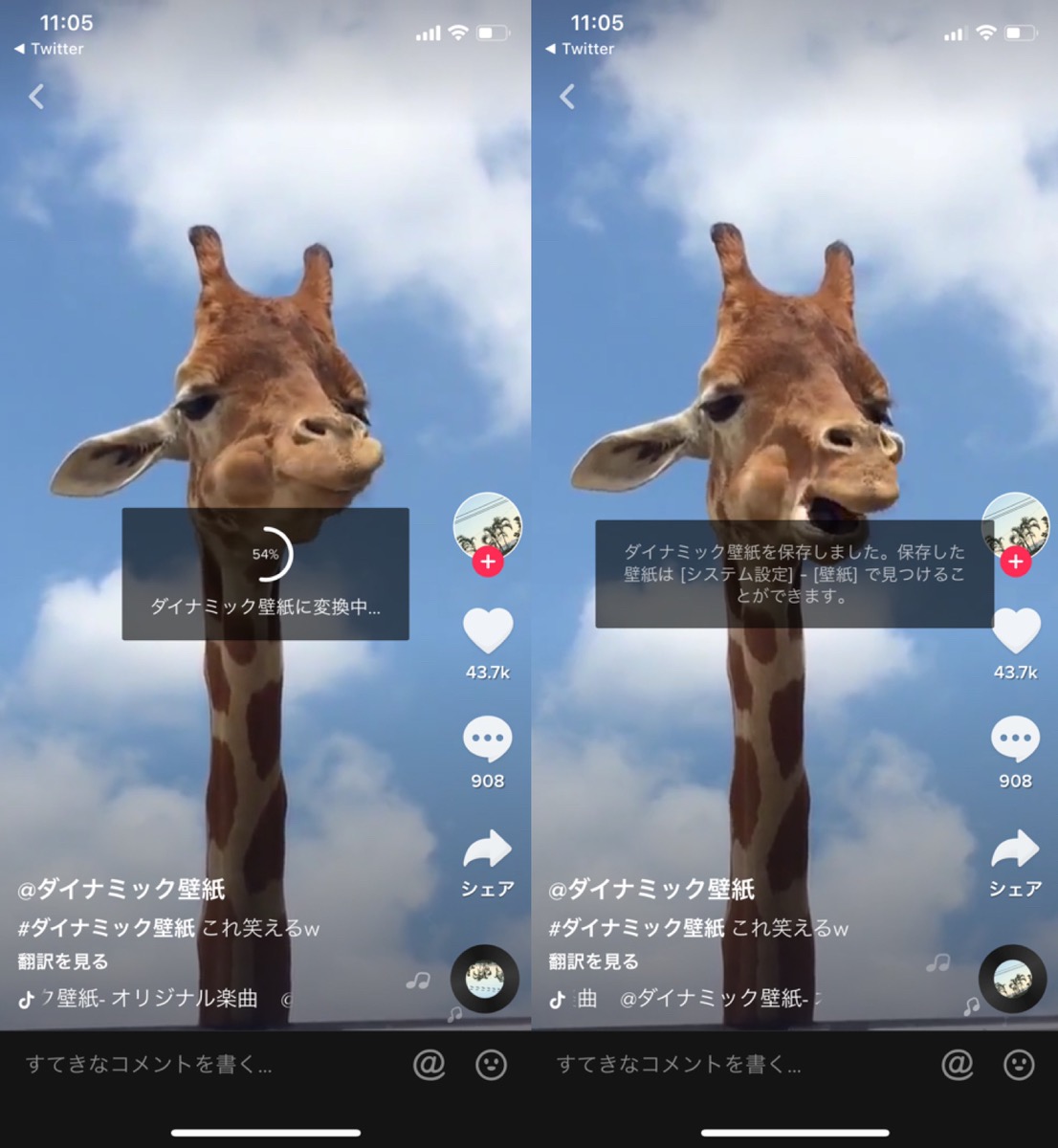 壁紙が動く Tiktokダイナミック壁紙の保存 設定 作成方法まとめ Tiktok Apptopi