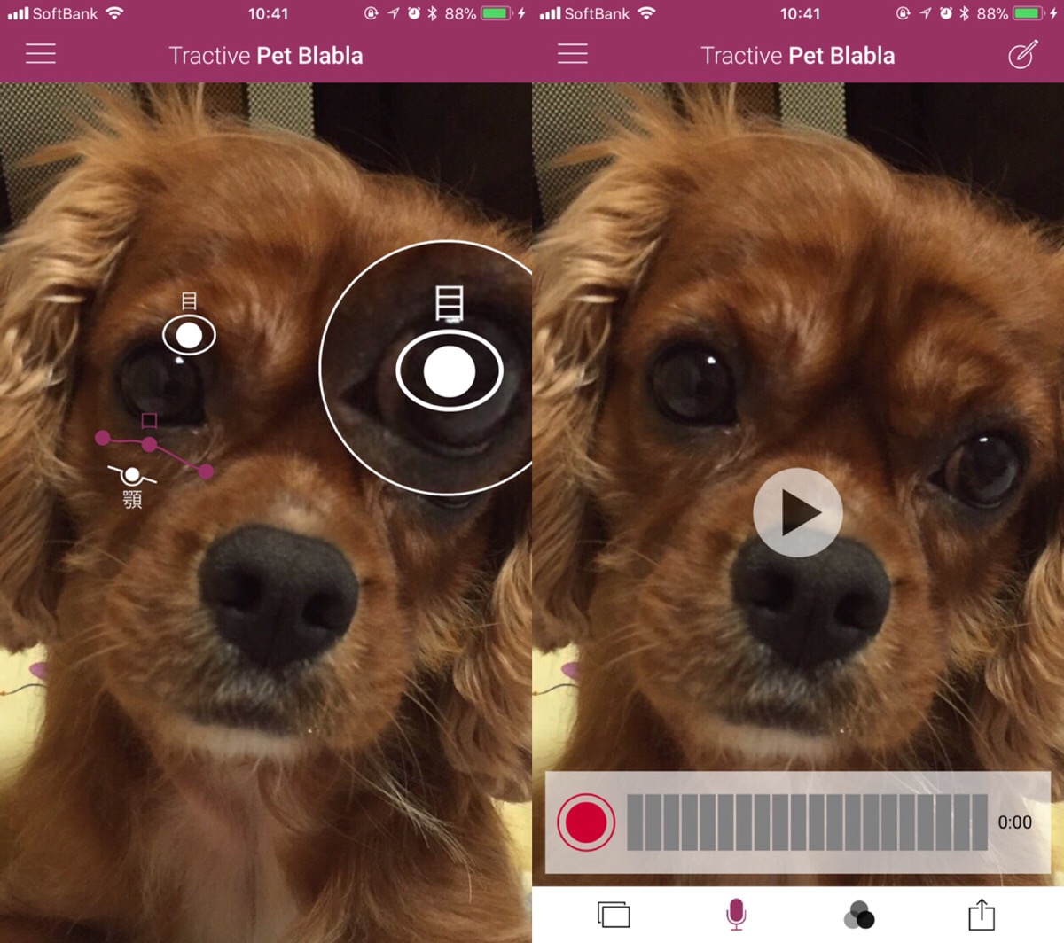 ペットが人間のようにおしゃべり 無料アプリで犬や猫をしゃべらせてみよう Apptopi