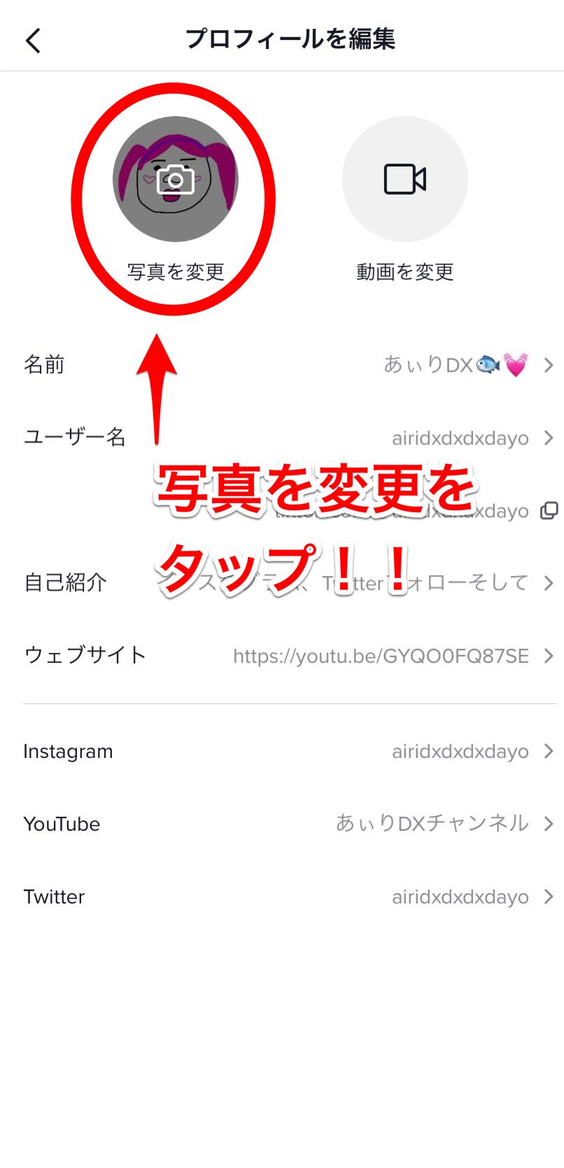 Tiktokのプロフィールアイコンを設定する方法 人気tiktokerが教えるアイコン選びのコツ 動画や透けるアイコンは Apptopi