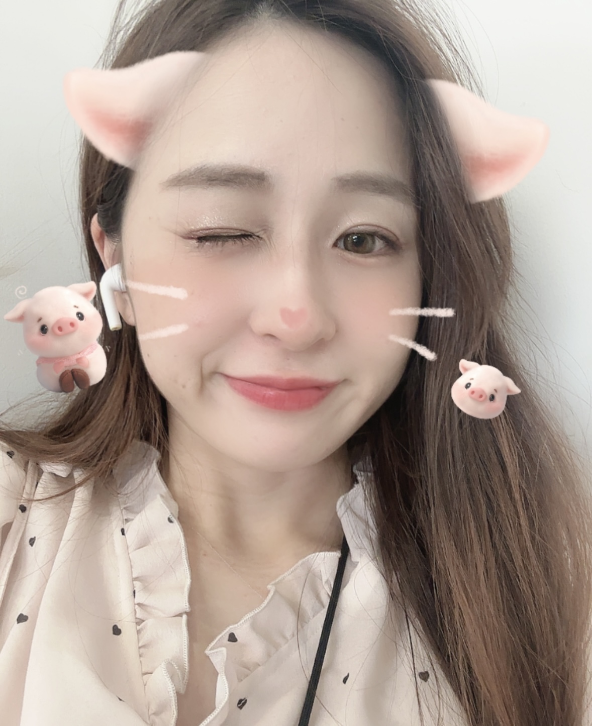 cute pig