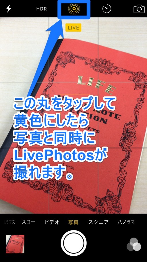 Apple公式のLivePhotosのイメージ写真