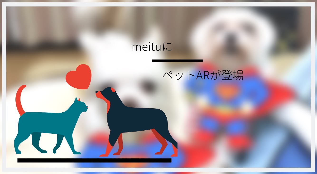 【Meitu】ペットも顔認証してかわいく盛れちゃう✨??【ペットAR】で遊ぼう！