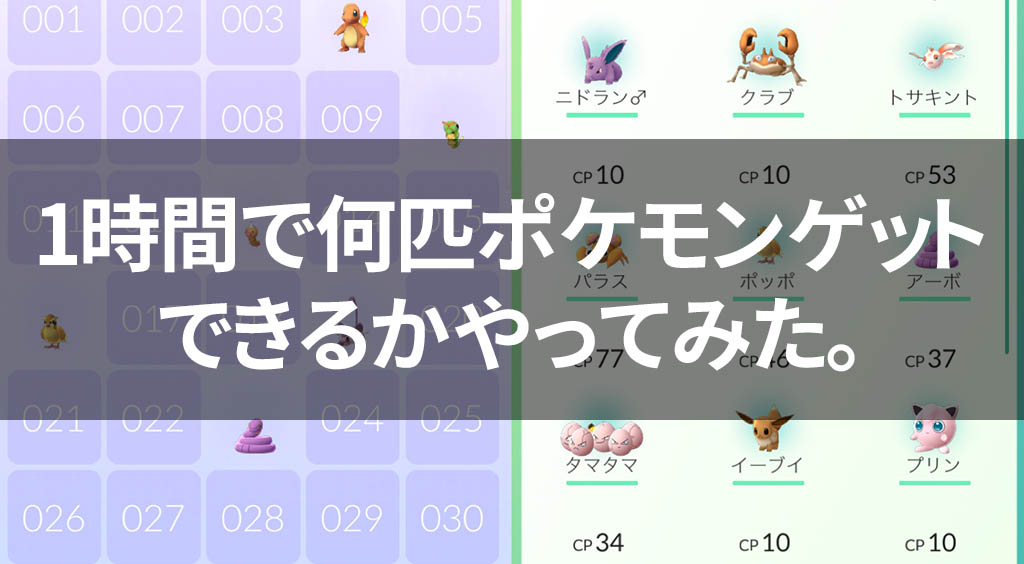 昼休み返上!1時間で何匹ポケモンゲットできるかやってみた。