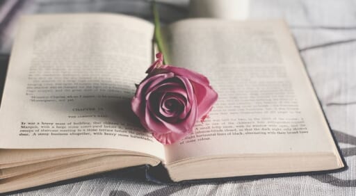 Twitter リツイート 引用リツイートの検索方法 便利なコマンドも紹介します Apptopi