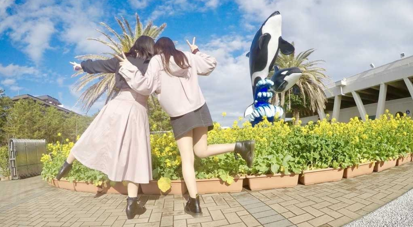 水槽のなかのファンタジー。おすすめ水族館と、おしゃれな撮り方。