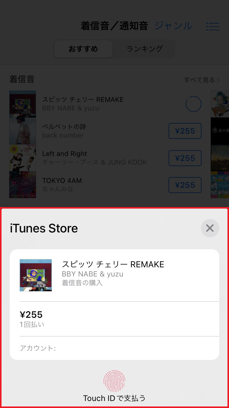 iTunes Storeの決済画面が表示