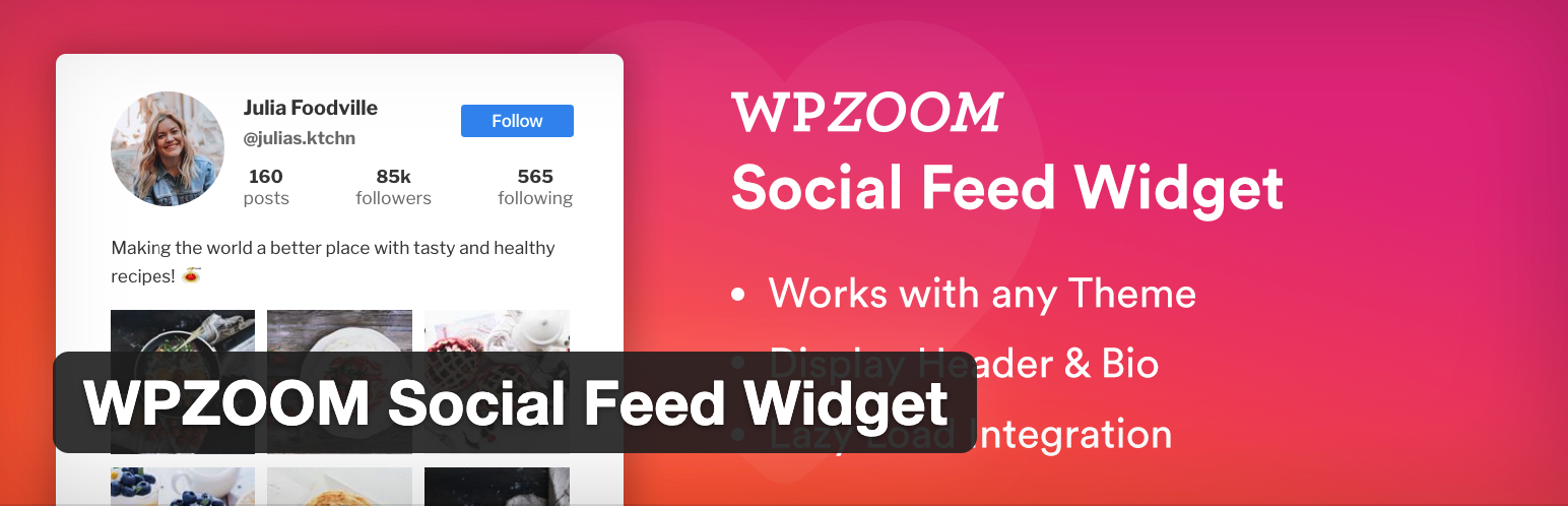 WPZOOM social Feed Widget