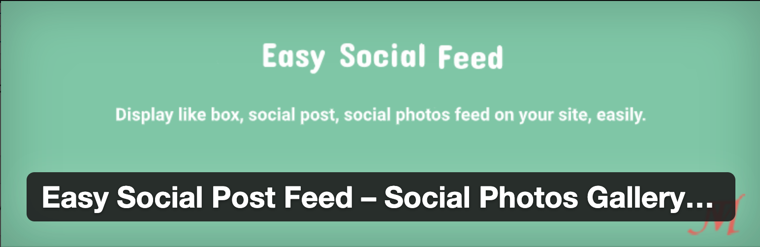Easy Social Feed