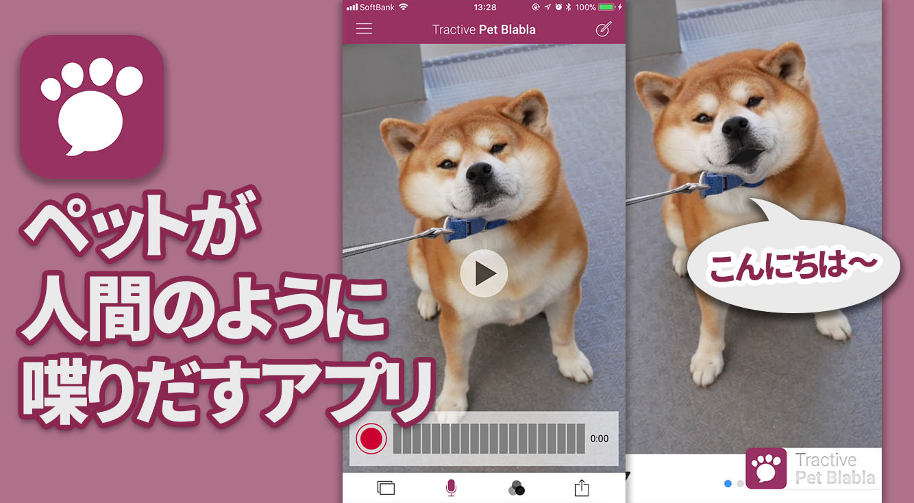 ペットが人間のようにおしゃべり♪無料アプリで面白動画を撮ってみよう