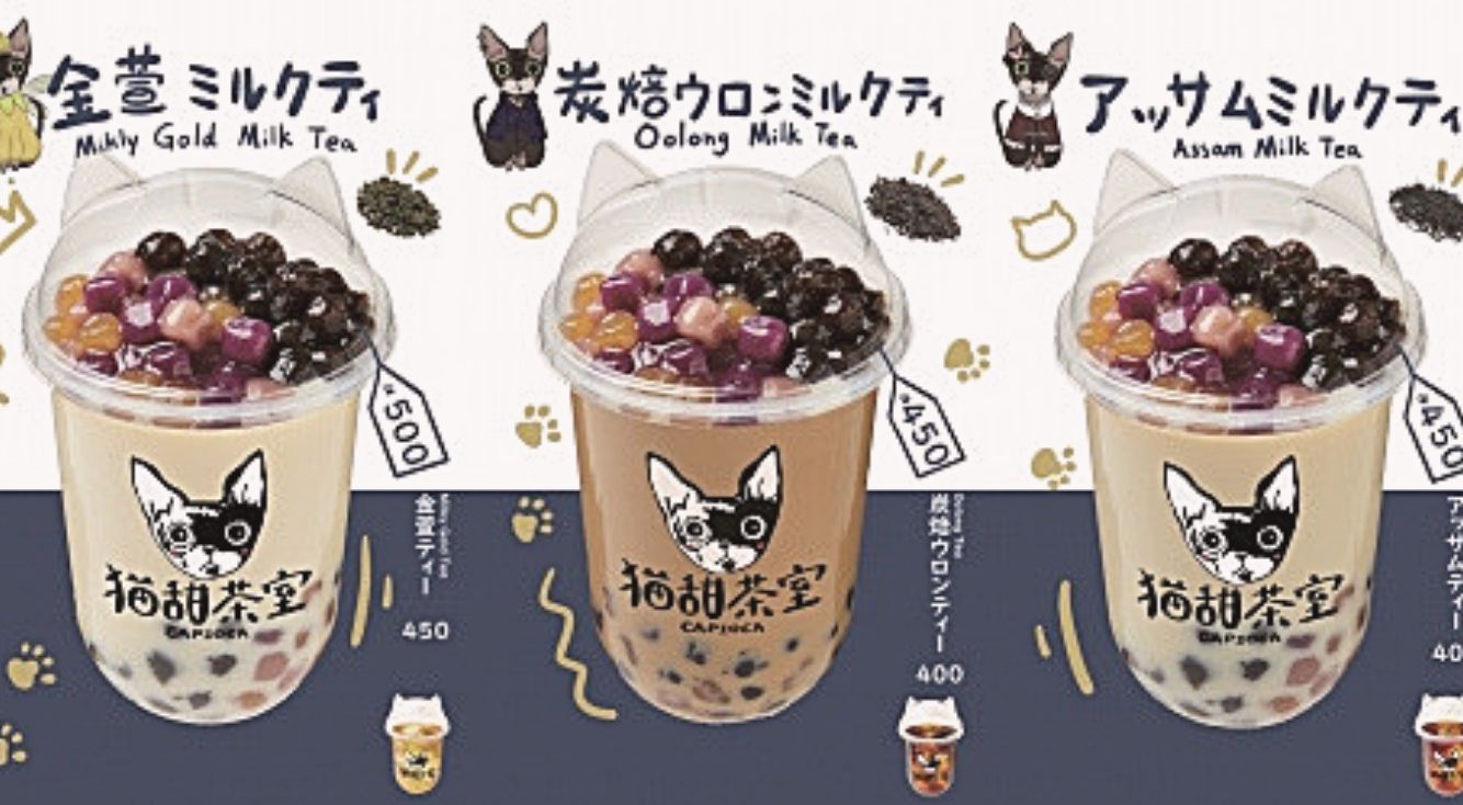 猫耳ドリンクカップがかわいい♡台湾から産地直送の高級茶葉を使った本格タピオカ専門店が誕生！